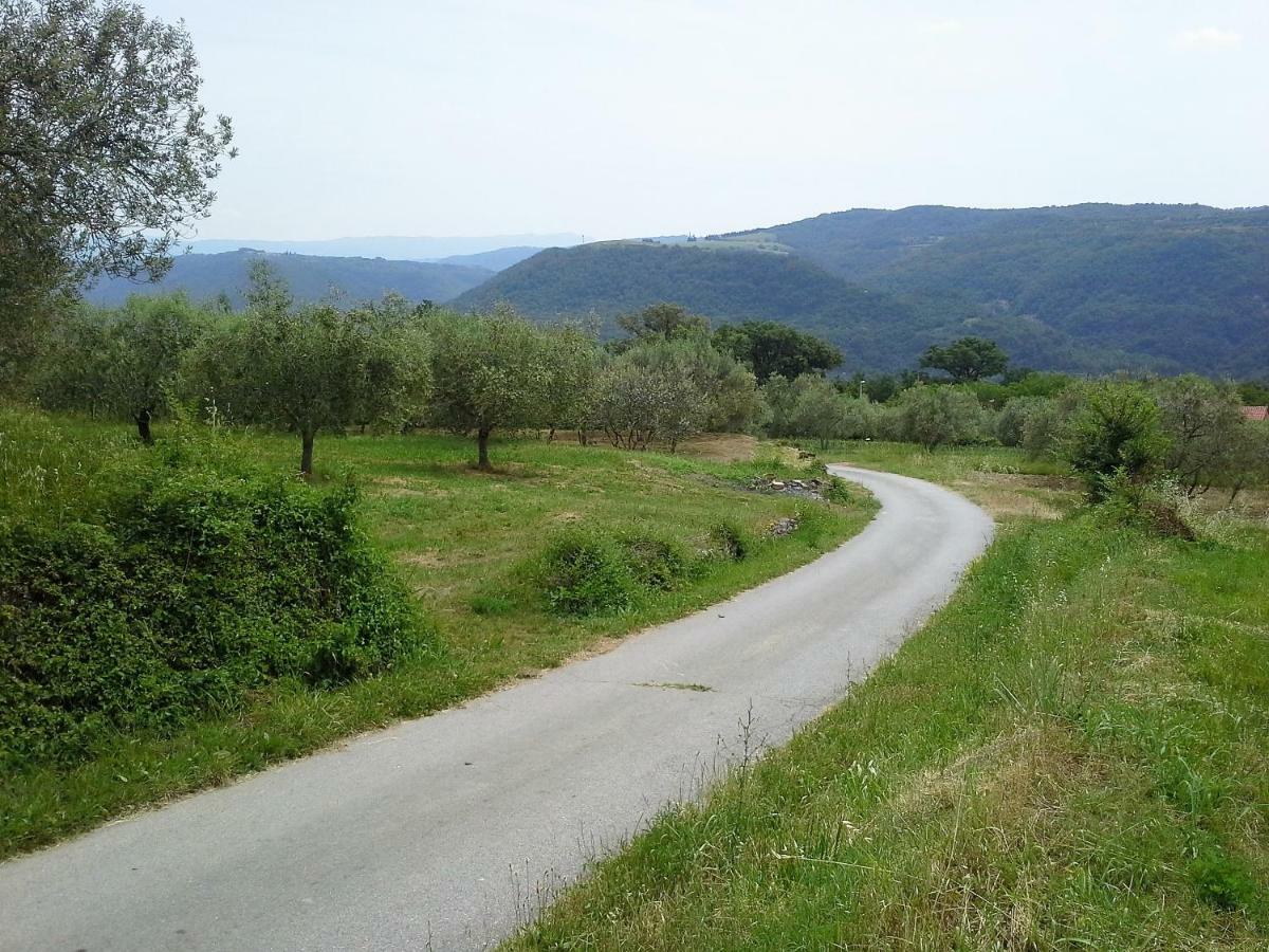 Jasmine Istra Villa