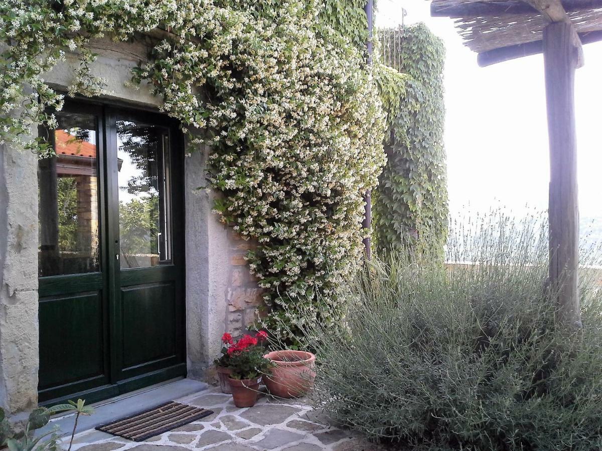 Jasmine Istra Villa Puce
